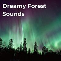 Dreamy Forest Sounds