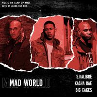 Mad World (feat. Big Cakes, Kasha Rae & Jabba Tha Kut)