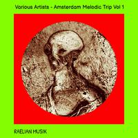 Amsterdam Melodic Trip Vol 1