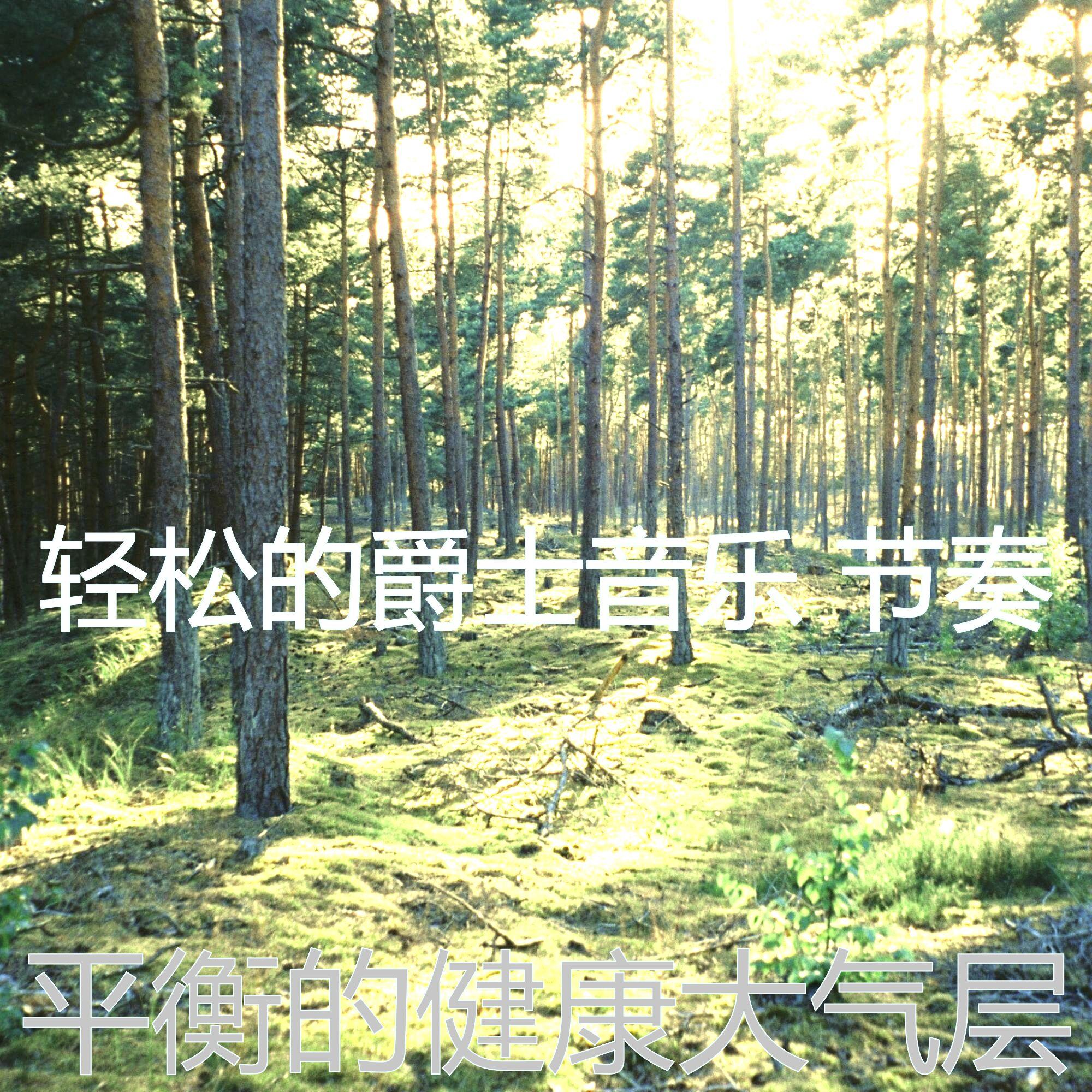 诗意的睡眠节奏封面