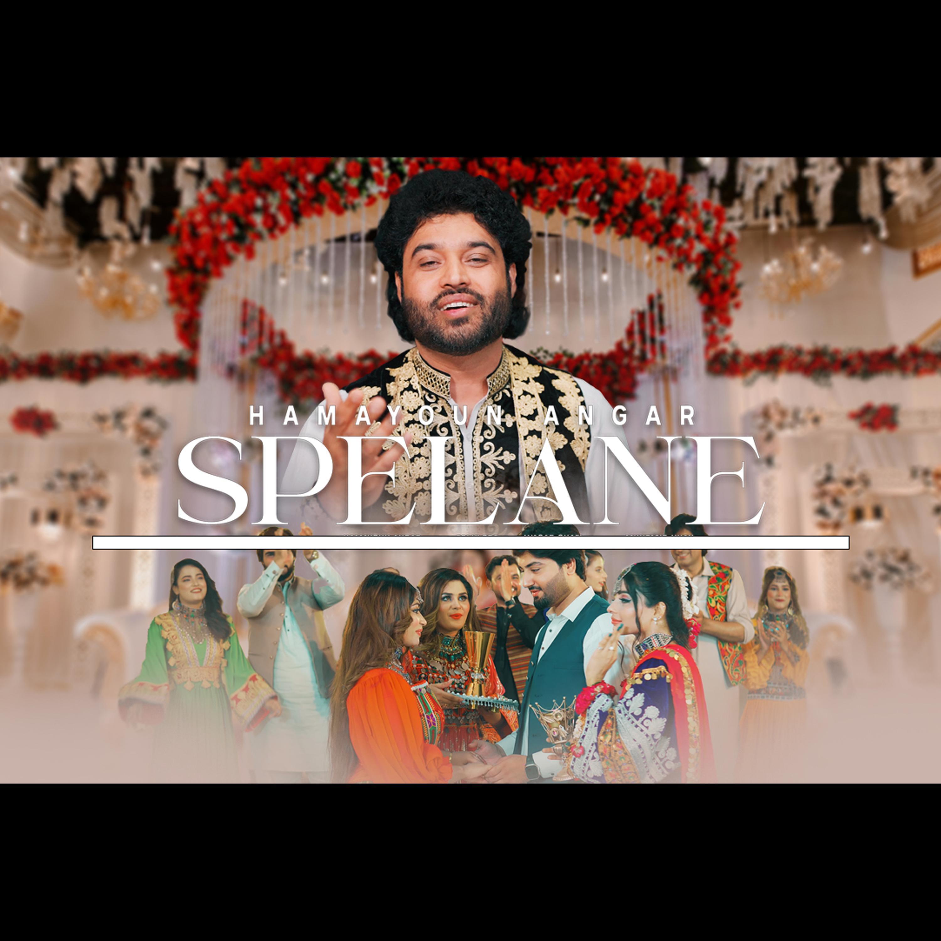 Pashto new song Spelane