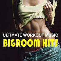 Ultimate Workout Music: Bigroom Hits