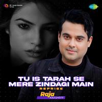 Tu Is Tarah Se Mere Zindagi Main - Reprise