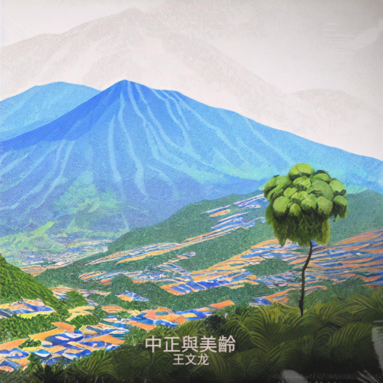中正與美齡封面