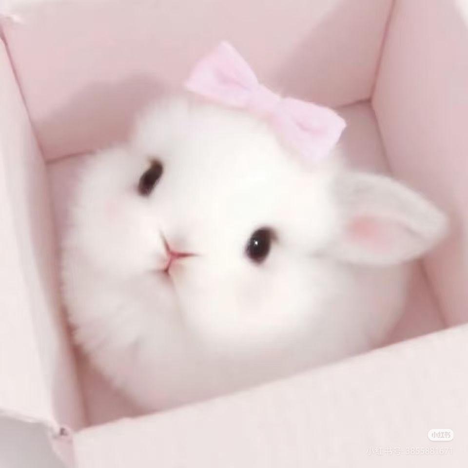 一万遍封面