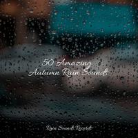 50 Amazing Autumn Rain Sounds