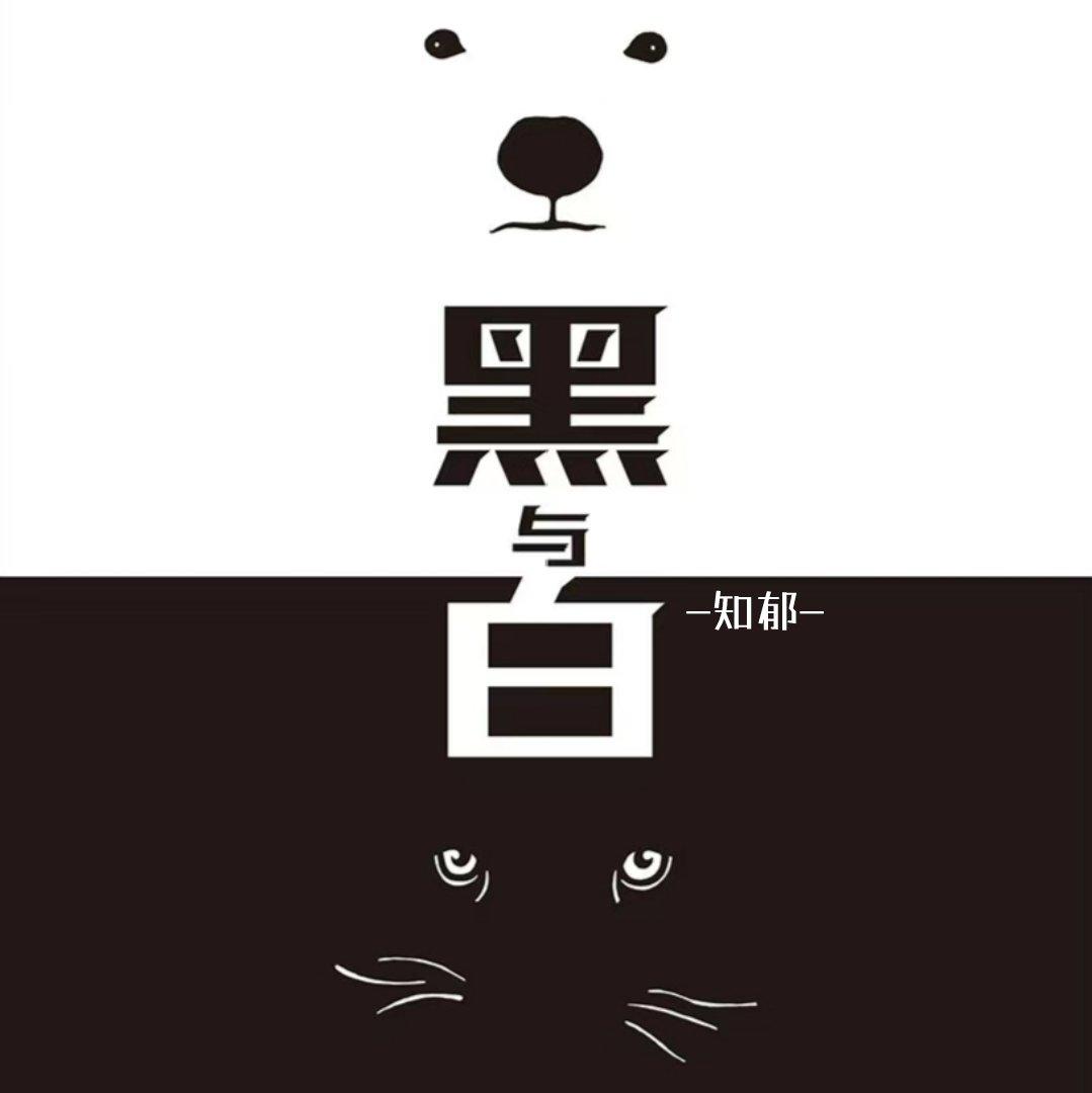 黑与白封面