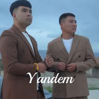 Yandem(返悔)