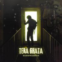 Tera Ghata