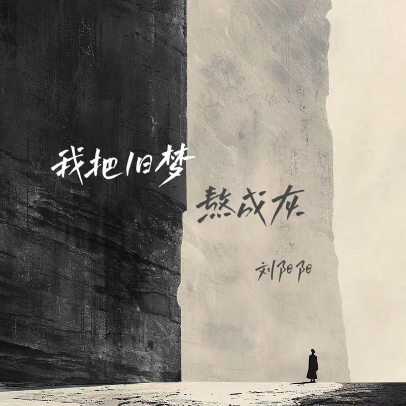 我把旧梦熬成灰 (DJ默涵版伴奏) - 刘阳阳封面