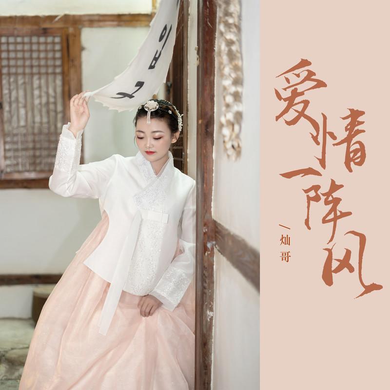 爱情一阵风(DJ版)封面