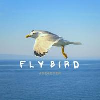 FLY BIRD