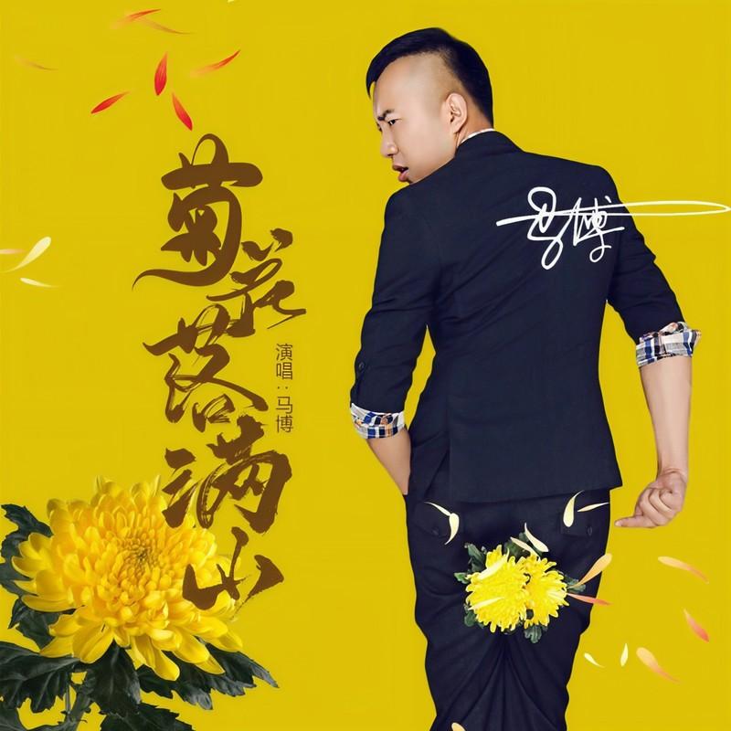 菊花落满山封面