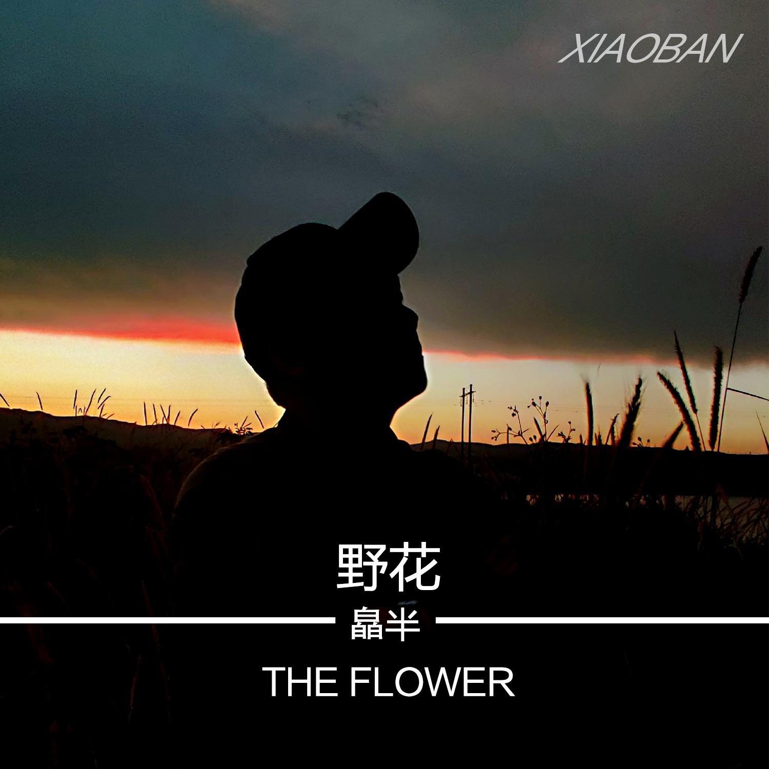 野花 (伴奏) - 皛半封面