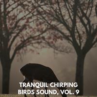 Tranquil Chirping Birds Sound, Vol. 9