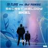 DJ R.Gee - Secret Melody 2k21 (Bramd's Hard Mix)