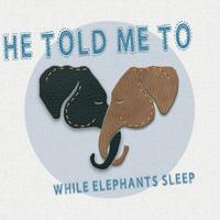 While Elephants Sleep