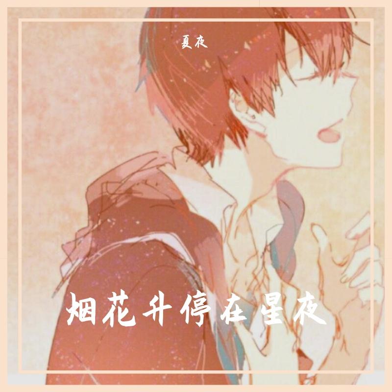烟花升停在星夜封面