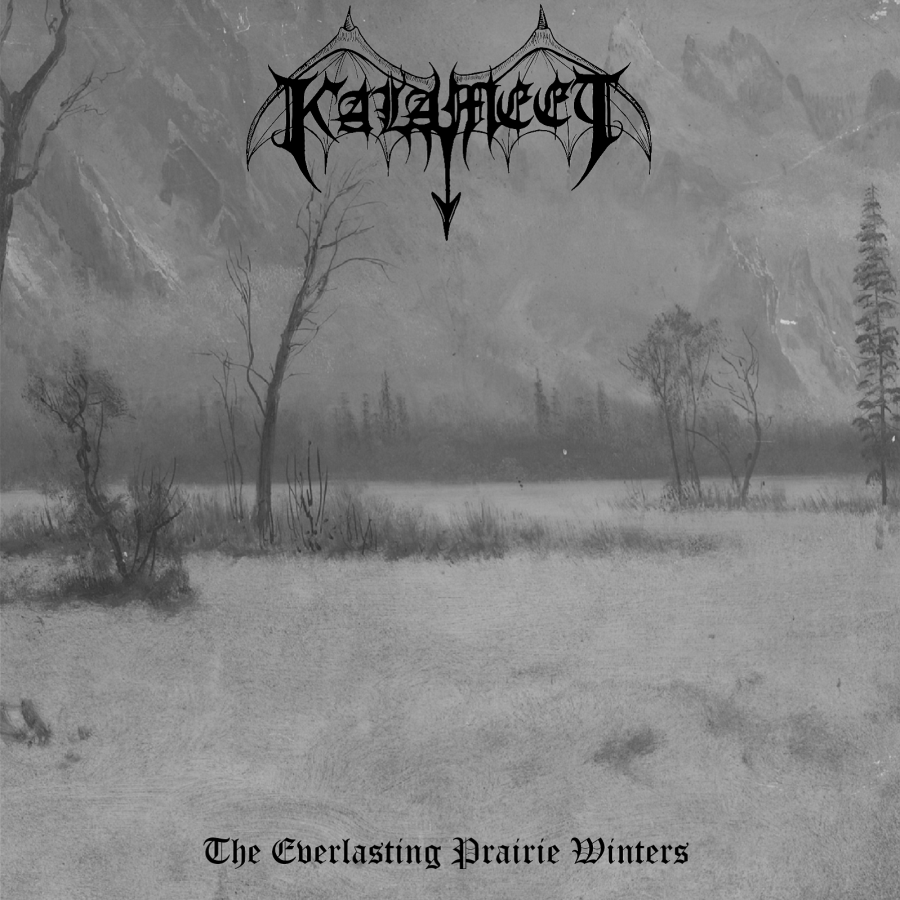 Starry Nights Upon Frozen Fields