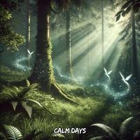 Calm Days