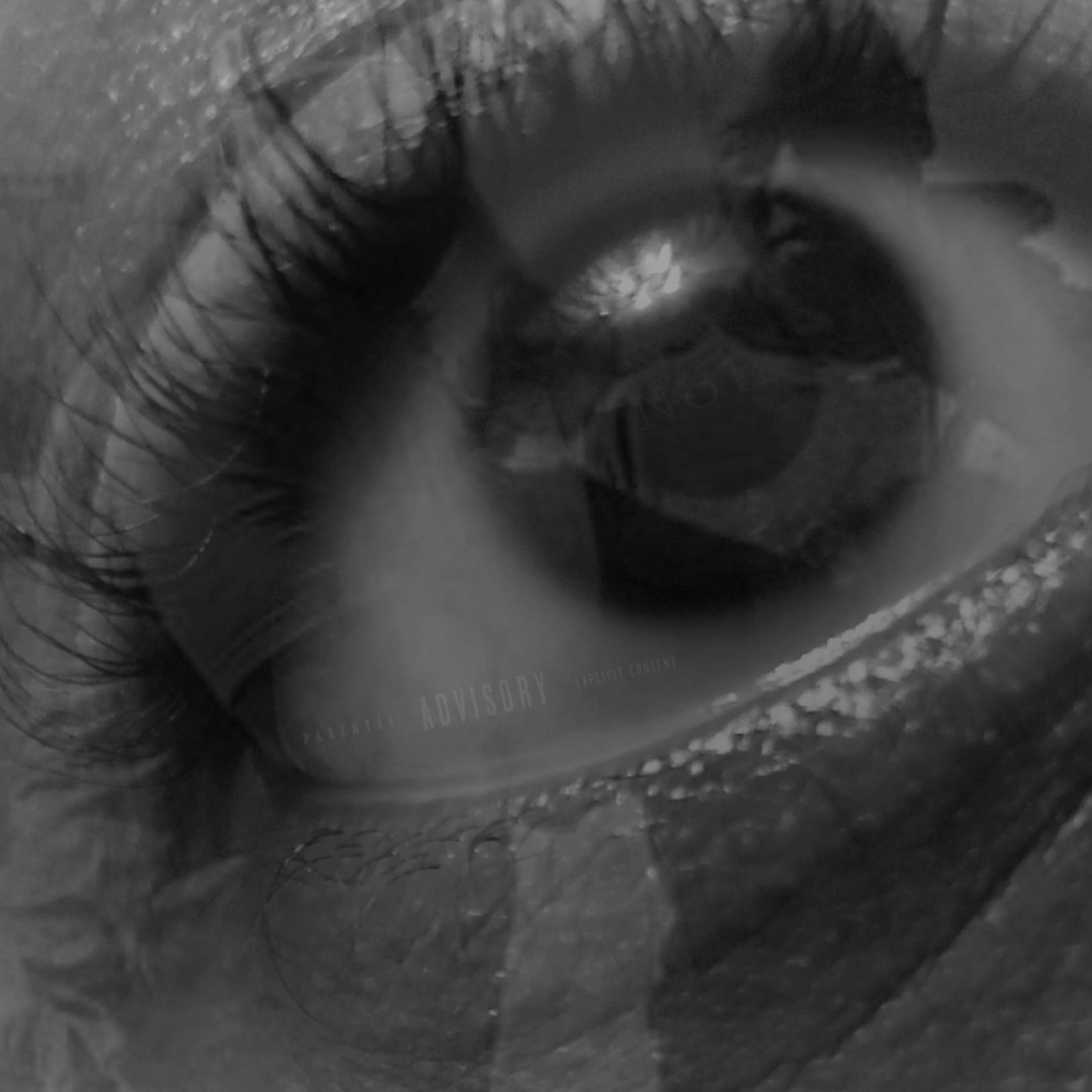 ManuFacts (NohseT Remix)