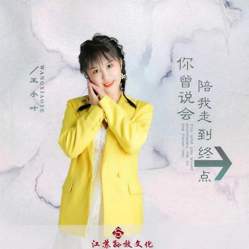你曾说会陪我走到终点封面