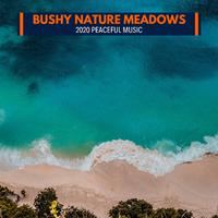 Bushy Nature Meadows - 2020 Peaceful Music