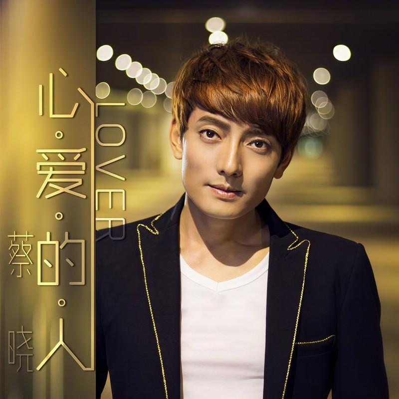 天下大同 - 蔡晓、齐柒柒封面