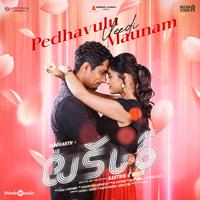 Pedhavulu Veedi Maunam (From 