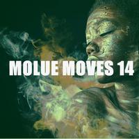 MOLUE MOVES 14