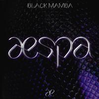 BLACK MAMBA