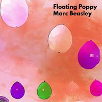 Floating Poppy