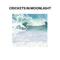 Crickets in Moonlight