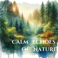 Calm Echoes of Nature