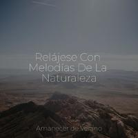 Relájese Con Melodías De La Naturaleza