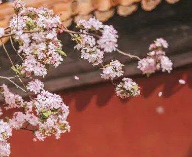 落梦旧尘