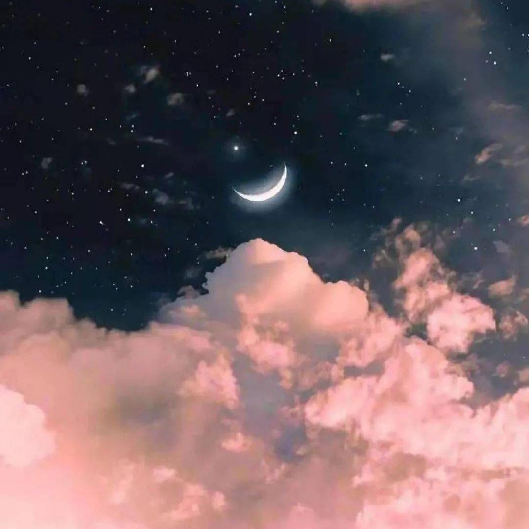 没那么坚强封面