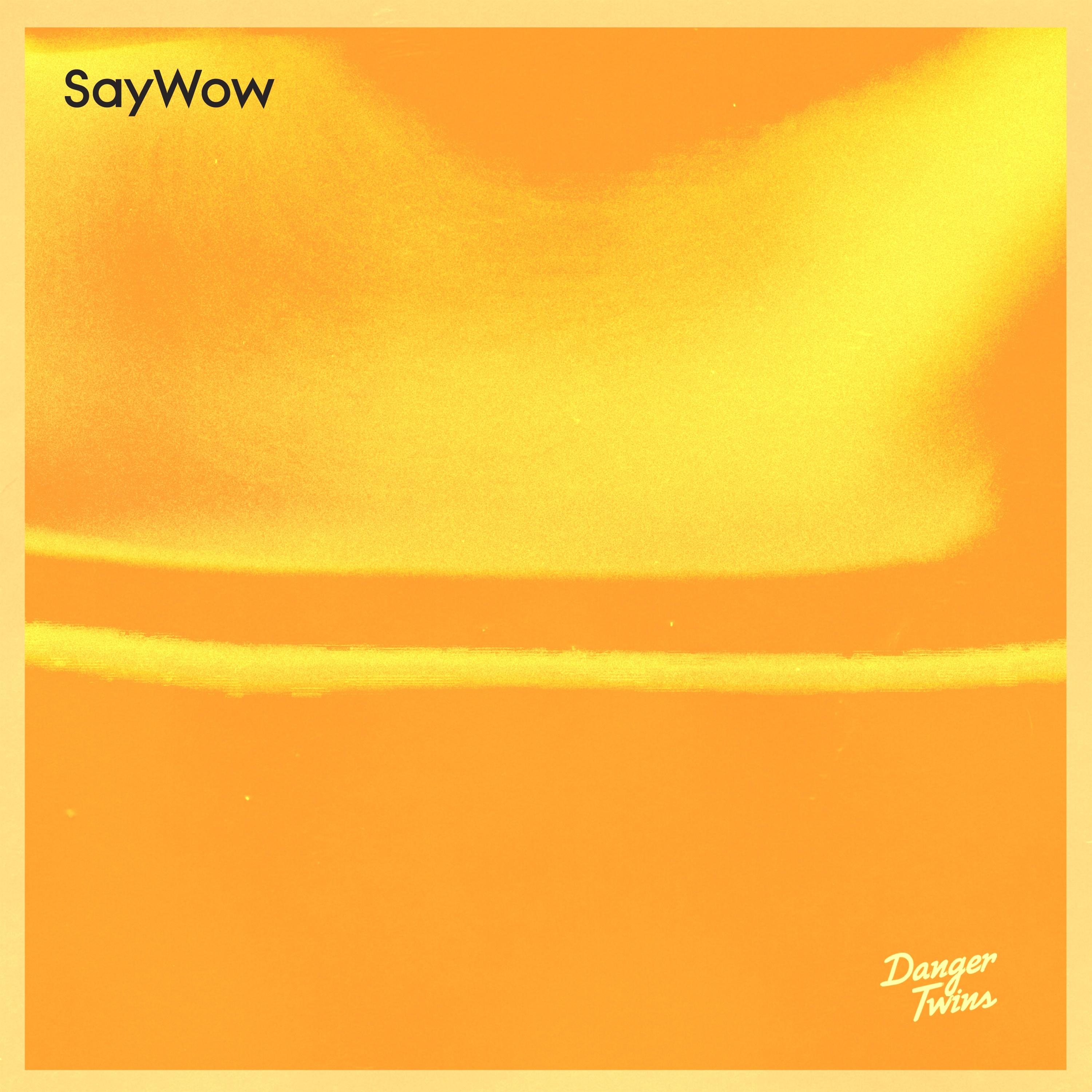 Watch Me Now_Danger Twins_Say Wow | 在线播放_Watch Me Now歌词_Watch Me Now下载 | 网易云音乐