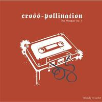 Cross-Pollination: The Mixtape Vol. 1