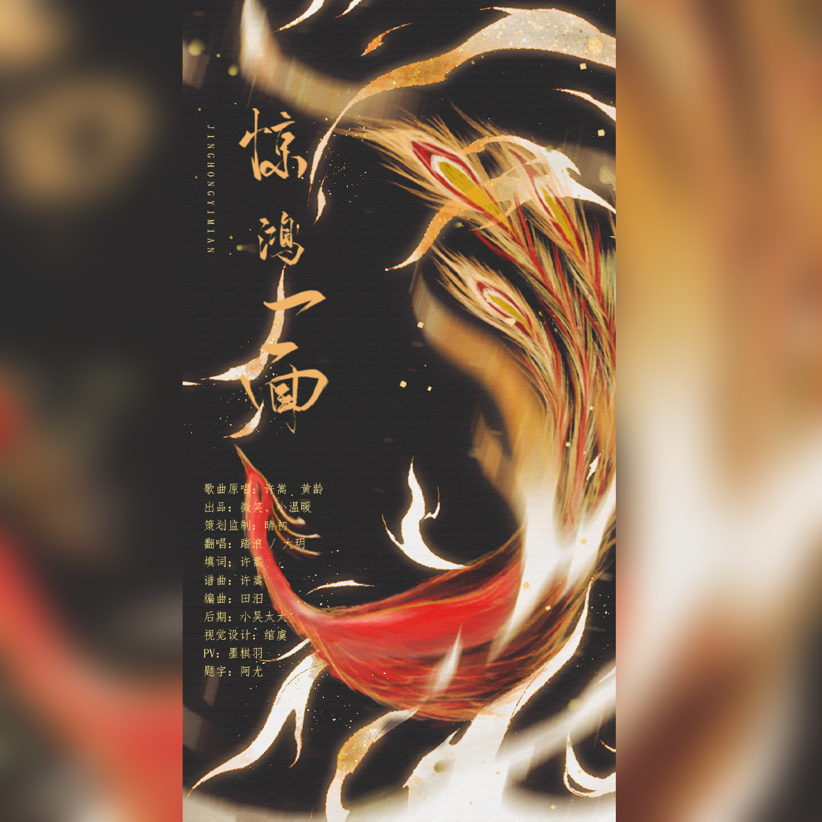 惊鸿一面封面