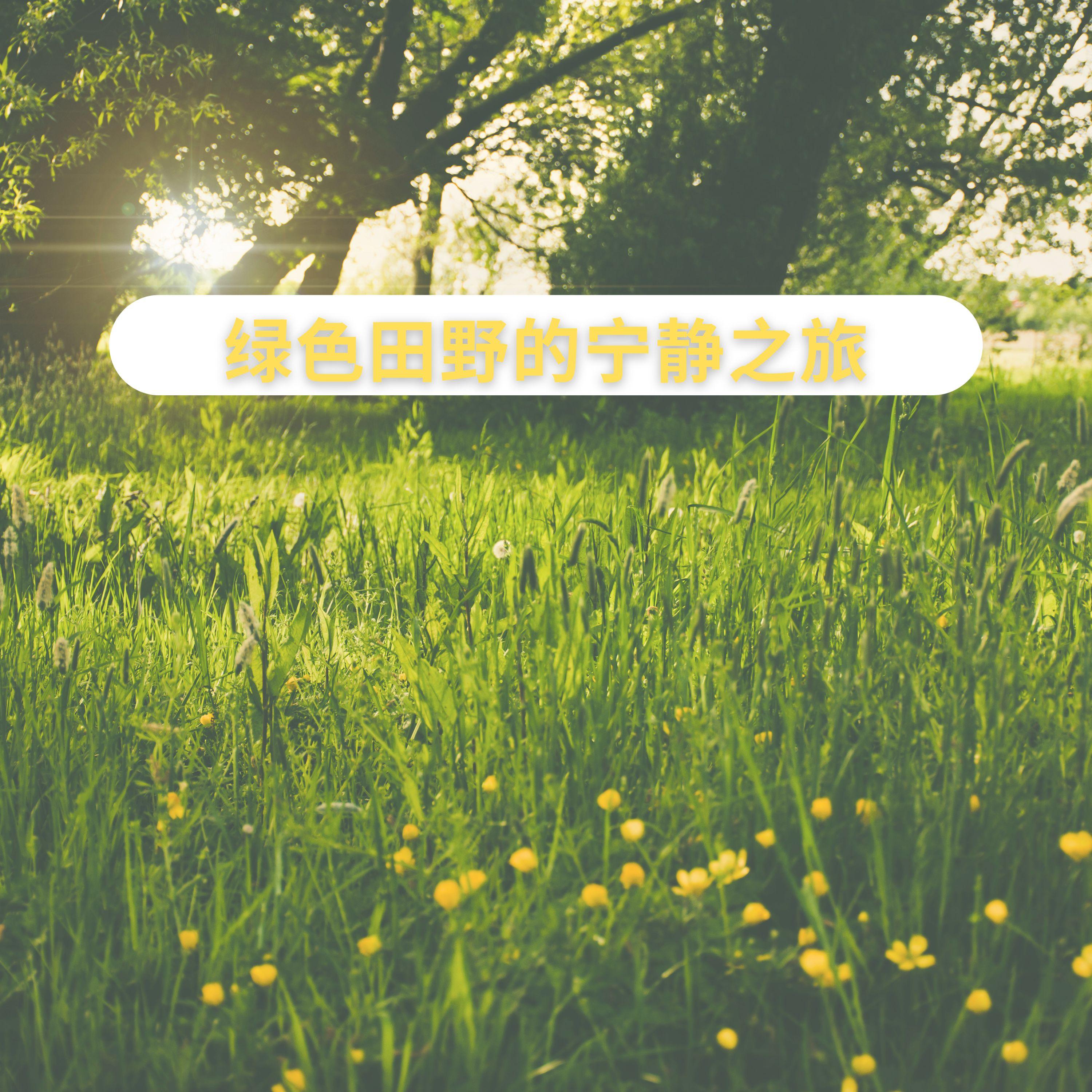 绿色田野的宁静之旅封面