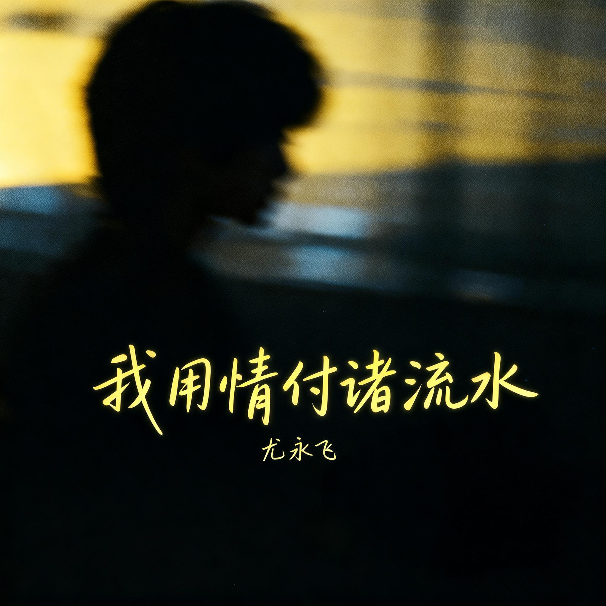 我用情付诸流水封面