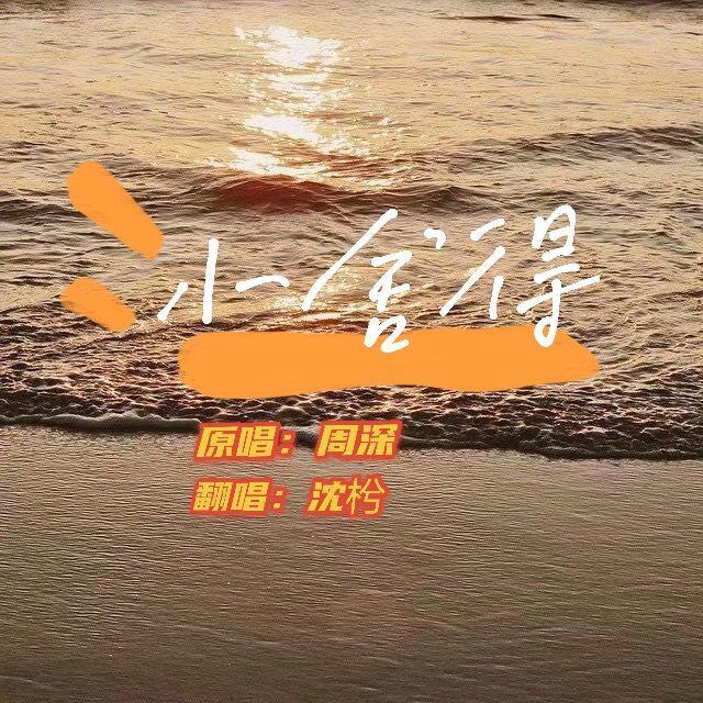 小舍得封面