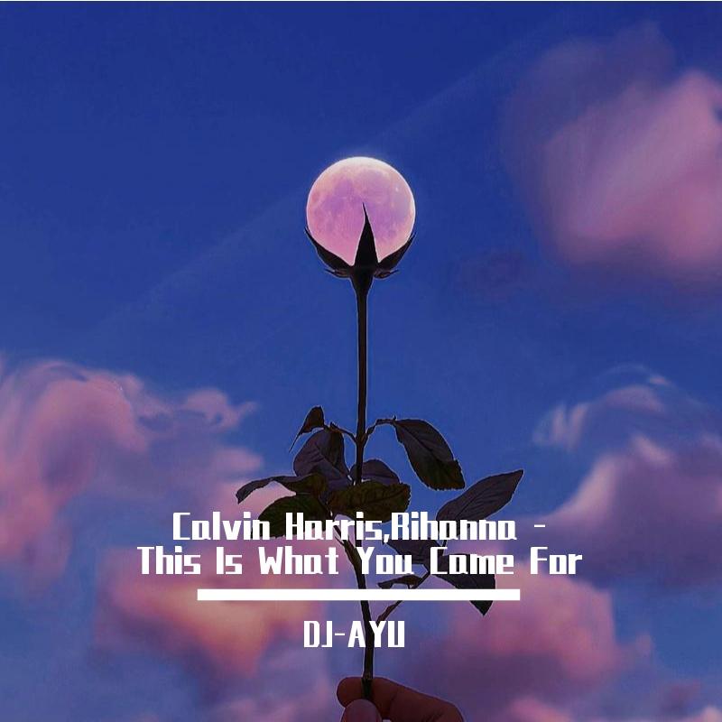 This Is What You Came For (Melody)