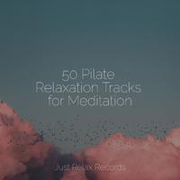 50 Pilate Relaxation Tracks for Meditation