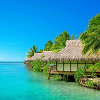 Z.qing资料,Z.qing最新歌曲,Z.qingMV视频,Z.qing音乐专辑,Z.qing好听的歌