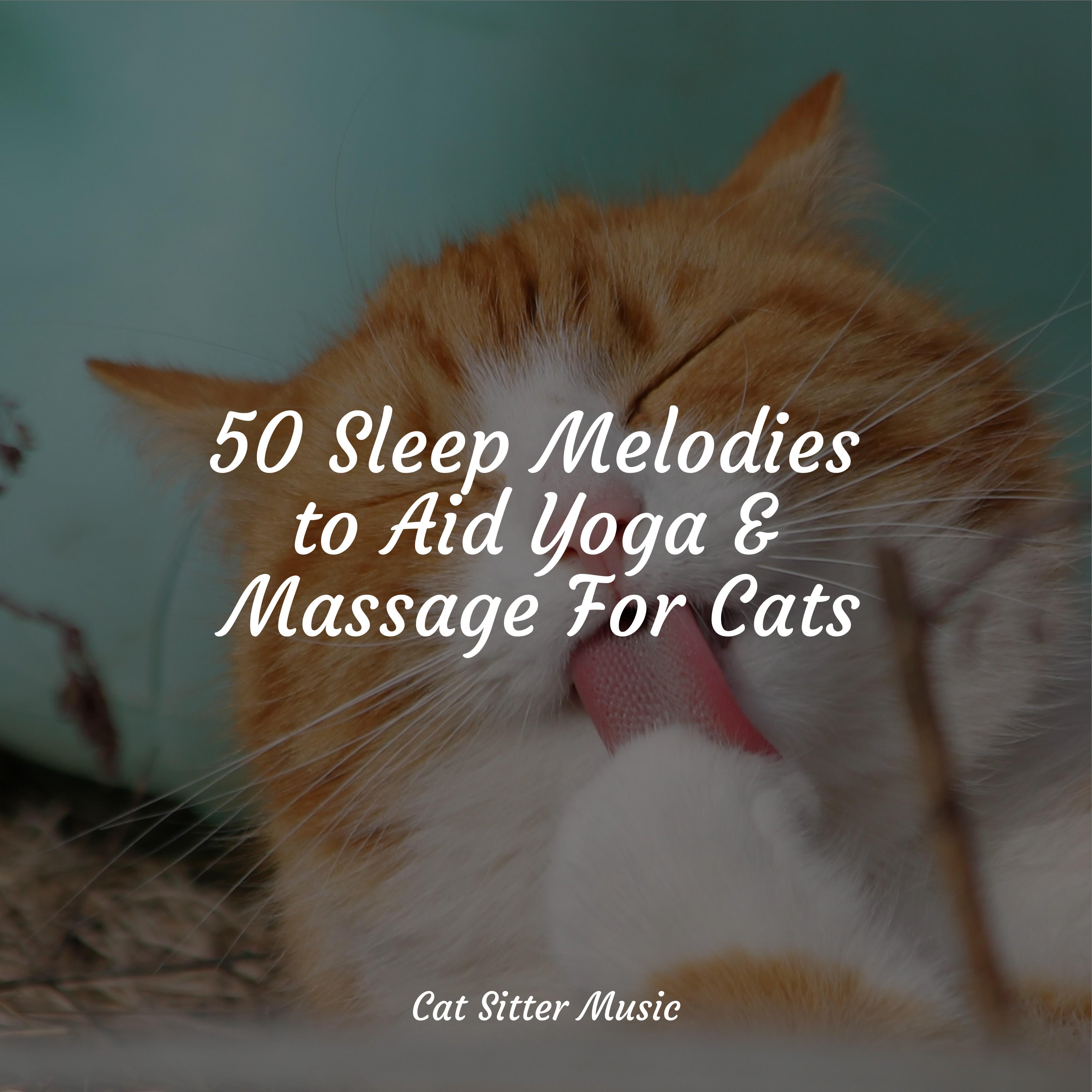 Photo inspiration: Gallery Detail: Floating On Air Cat Music Relaxmycat Official Pet Care Collection