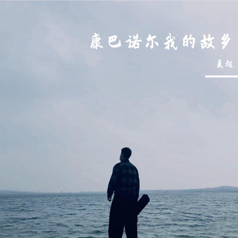 我从草原来（翻自 凤凰传奇）封面