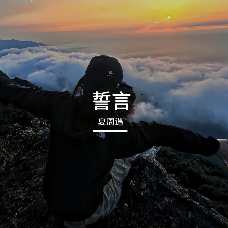 誓言封面