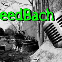 Feedbach